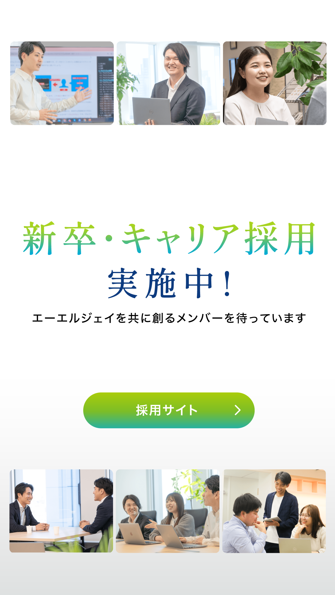 新卒キャリア採用実施中！